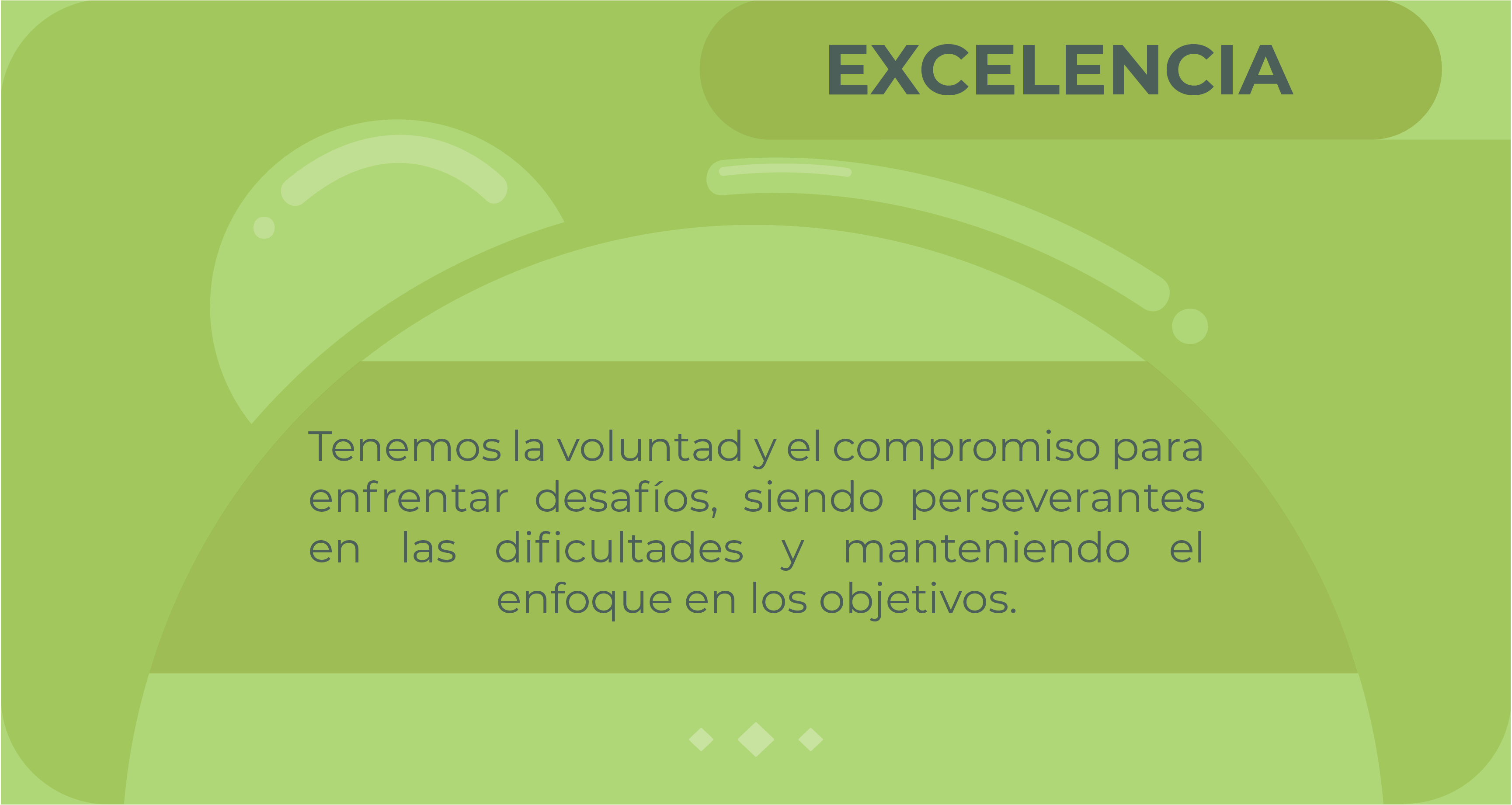 Imagen en hover
